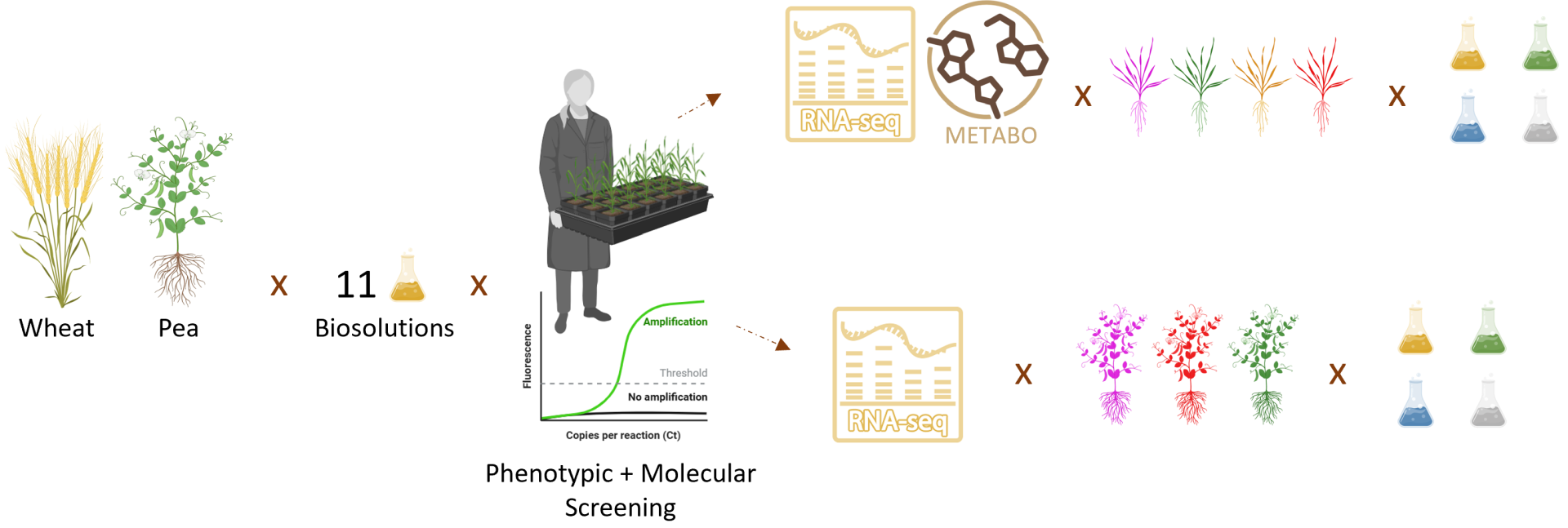 illustrationCbenezech illustrationCbenezech