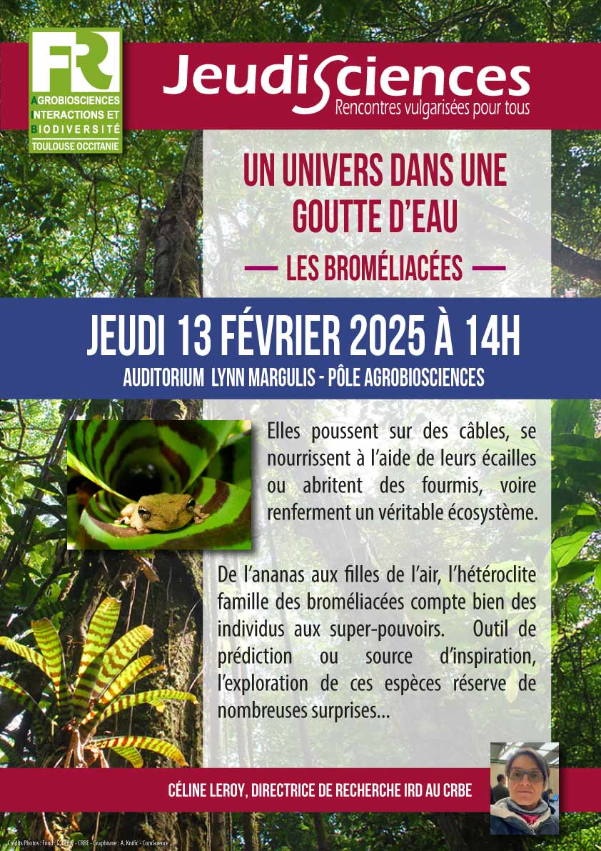 Affiche jeudi science de Céline Leroy "Un univers dans une goutte d'eau"